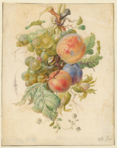 Fruit, 1677-1726. Creator: Herman Henstenburgh.