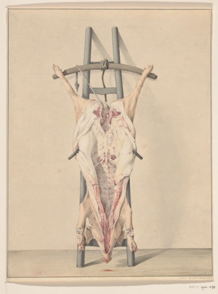 Slaughtered pig, 1796. Creator: Jean Bernard.