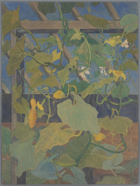 Greenhouse with ornamental gourd, 1897-1901.  Creator: Theo van Hoytema.