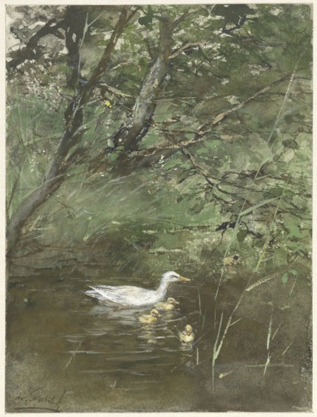 Ducks in the water, 1854-1892. Creator: Willem Maris.