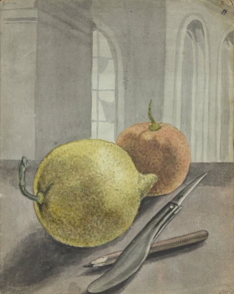 Still life with fruit, knife and pencil., 1779-1785. Creator: Jan Brandes.