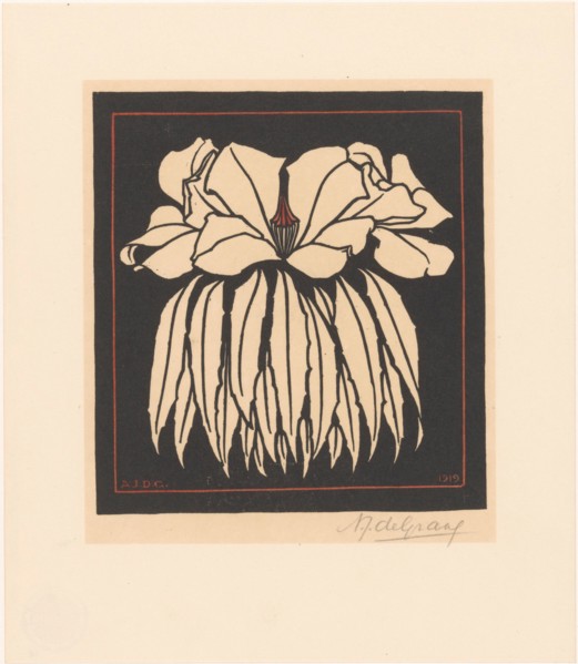 Godetia, 1919. Creator: Julie de Graag.