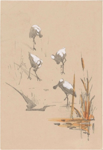 Greeting card with four spoonbills, c.1878-c.1917. Creator: Theo van Hoytema.