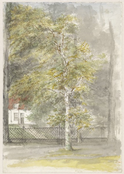Tree in front of the fence of a country house, 1834-1911. Creator: Jozef Israels.