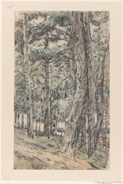 Forest landscape, 1873-1932. Creator: Willem Steenhoff.