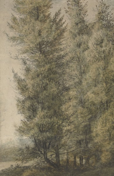 Tall pines on the edge of a forest, 1619-1690. Creator: Anthonie Waterloo.