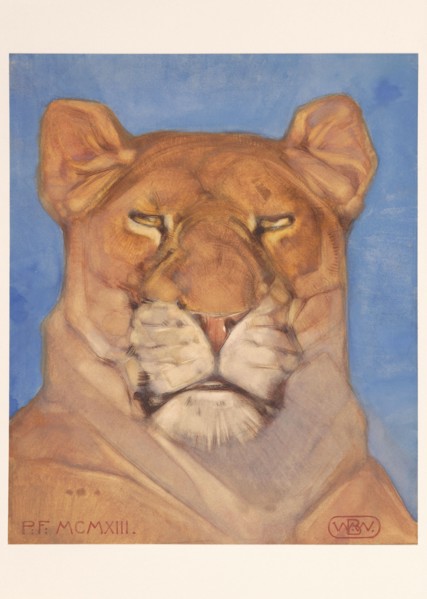 Head of a lioness, 1866-1939. Creator: Bernard Willem Wierink.