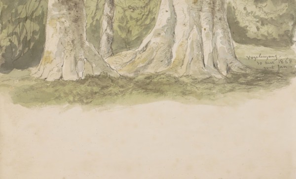 Tree trunks, 1868. Creator: Johannes Tavenraat.