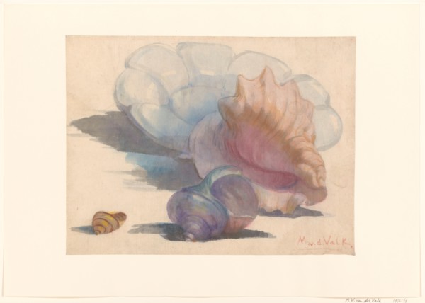 Three shells with a Delft folding dish, 1867-1935. Creator: Maurits Willem van der Valk.