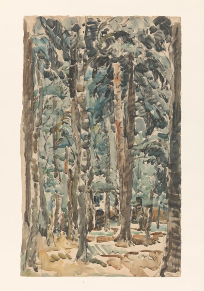 Forest view, 1873-1932. Creator: Willem Steenhoff.