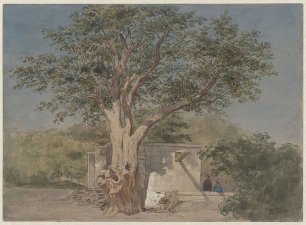 Cabin under a tree in Cairo, 1858. Creator: Willem de Famars Testas.