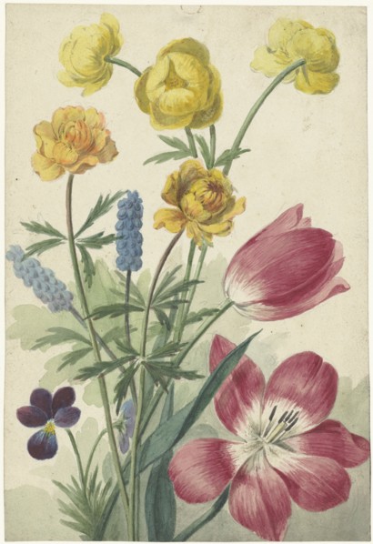Bouquet of tulips, pansies, grape hyacinths and dotters, 1763-1825. Creator: Willem van Leen.