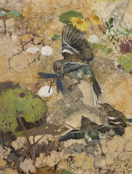 Chaffinches and Dragonflies. Five studies in one frame, 1885. Creator: Bruno Liljefors.