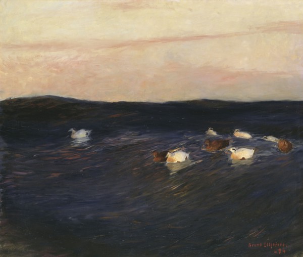 Eider Ducks, 1894. Creator: Bruno Liljefors.
