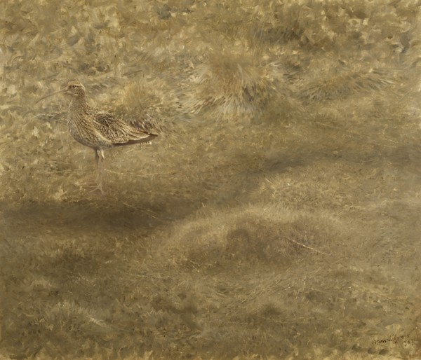 Eurasian Curlew, 1907. Creator: Bruno Liljefors.