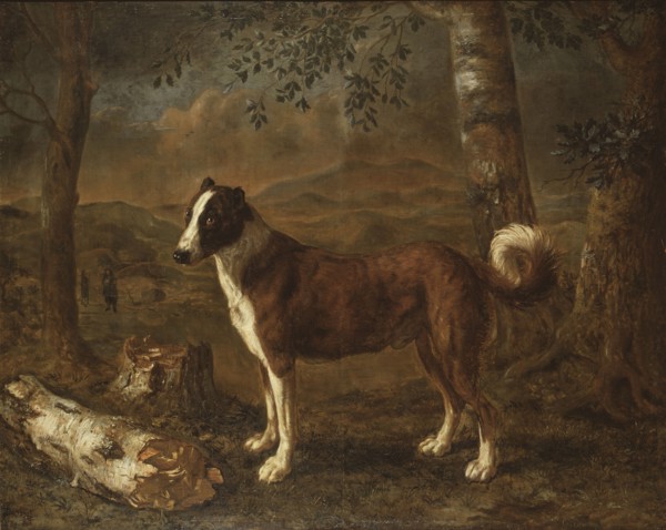 Dog and a Birch Log. Creator: Govert Dircksz Camphuysen.