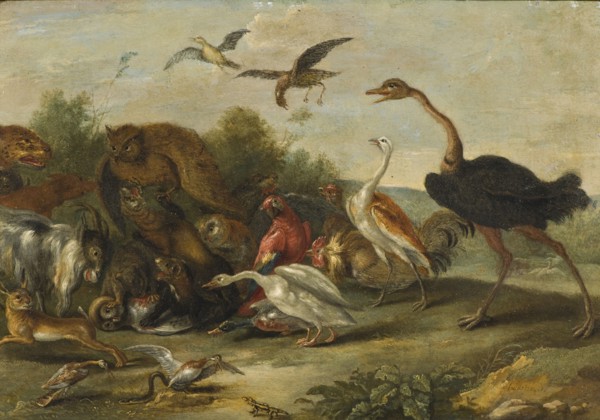 Battle between Owls and Quadrupeds. Creator: Jan van Kessel.