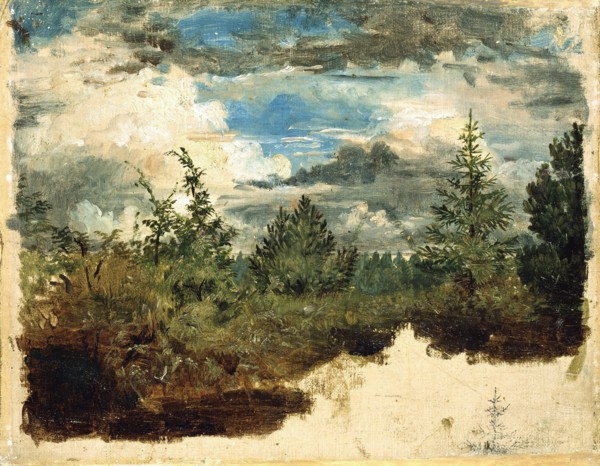 A Wooded Hillside. Study. Creator: Kilian Christoffer Zoll.