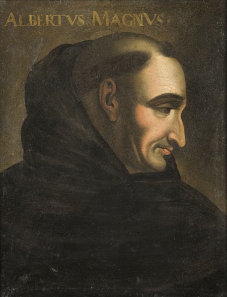 Albertus, 1193-1280. Creator: Anon.