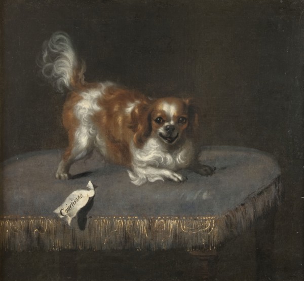 The dog Courtisan, c17th century. Creator: Unknown.