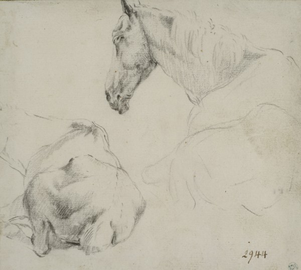 Studies of a horse lying down. Creator: Adriaen van de Velde.