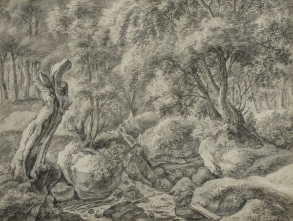 Forest with a stream running between large boulders. Creator: Anthonie Waterloo.
