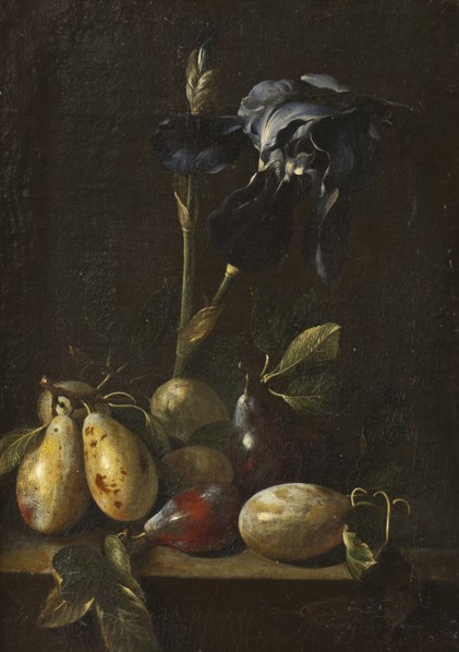 Still Life with an Iris and Plums. Creator: Attributed to Pietro Paolo Bonzi  (1576-1636).
