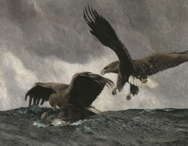 Sea Eagles, 1897. Creator: Bruno Liljefors.
