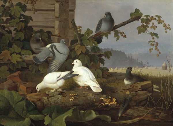 Pigeons, 19th-early 20th century. Creator: Ferdinand von Wright.