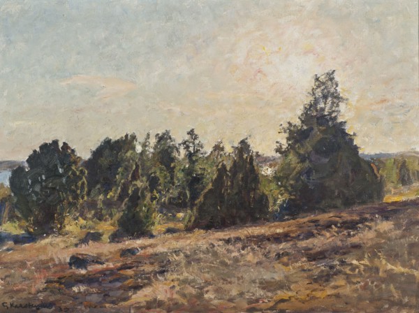 Towards Evening. Horsö in The Tjust archipelago, 1932. Creator: Gottfrid Kallstenius.