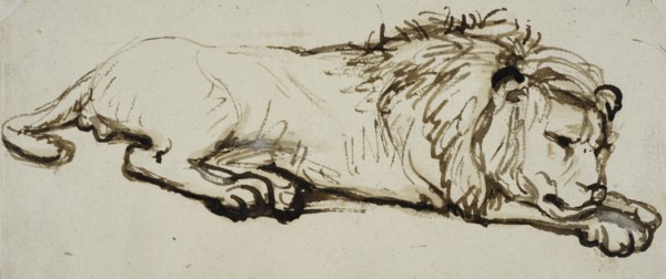 Sleeping lion. Creator: Rembrandt Harmensz van Rijn.