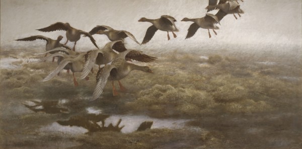 Wildgeese Settling, 1907. Creator: Bruno Liljefors.