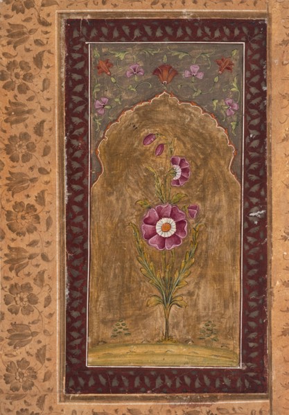 A Flower Study, between 1700 and 1725. Creator: Unknown.