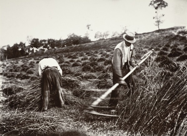 Faucheurs, Somme, 1890s, (1956). Creator: Eugene Atget.