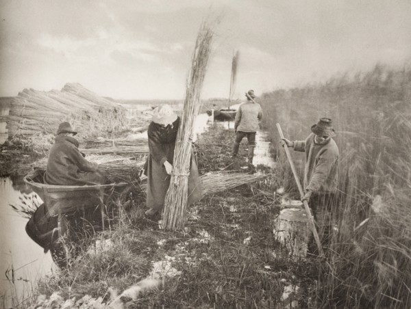 During the Reed-Harvest, 1886. Creator: Peter Henry Emerson.