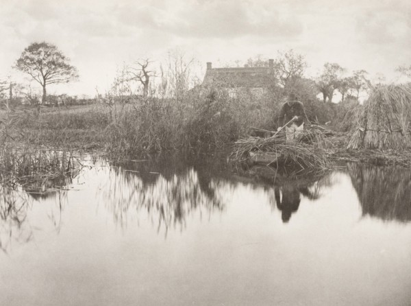 Quanting the Gladdon, 1886. Creator: Peter Henry Emerson.