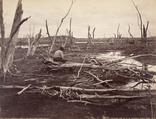 Drowned Lands Of The Raquette Lake, Printed 1888. Creator: Seneca Ray Stoddard.