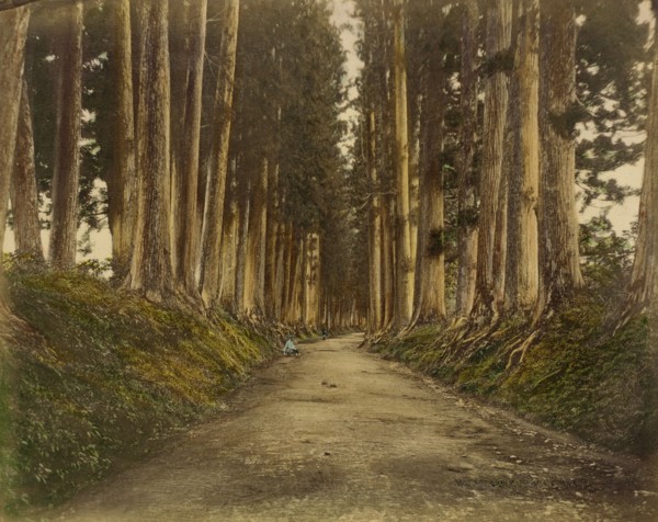 View of Imaichi, 1865. Creator: Unknown.
