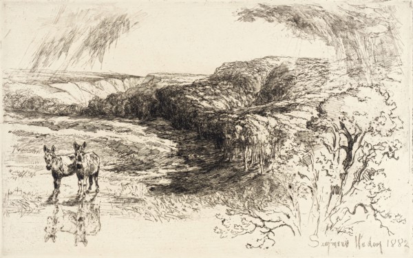 Encombe Woods, No. II, 1882. Creator: Francis Seymour Haden.