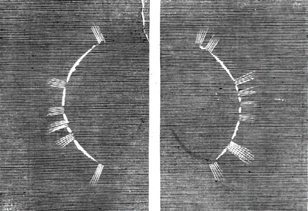 The Eclipse of the Sun on July 18 in Spain - beginning of the corona - from a sketch by..., 1860. Creator: Unknown.