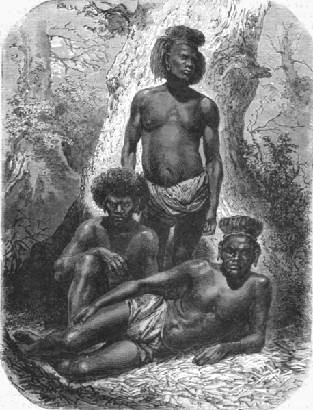 'Group of Kanaks; Some Account of New Caledonia', 1875. Creator: Unknown.
