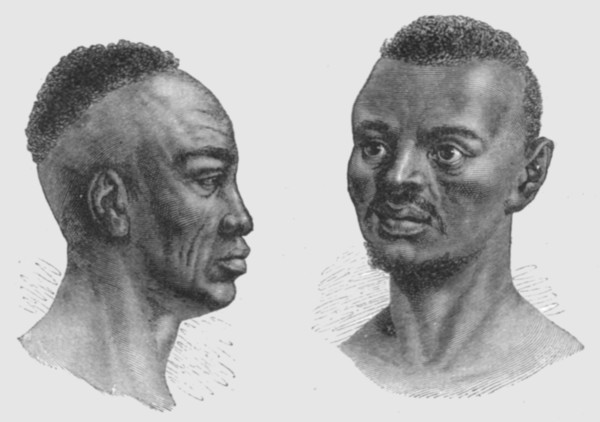 'Types of Nyam-Nyam; Dr. G. Schweinfurth's recent expedition to the Nyam-Nyam district..., 1875. Creator: W. F Kirby.