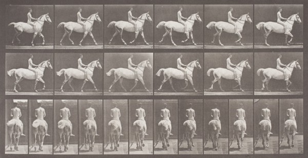 Smith Trotting Bareback, Printed 1887. Creator: Eadweard J Muybridge.