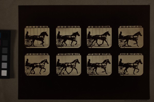 Animal Locomotion (Man In Horse-Drawn Cart), Printed 1881. Creator: Eadweard J Muybridge.