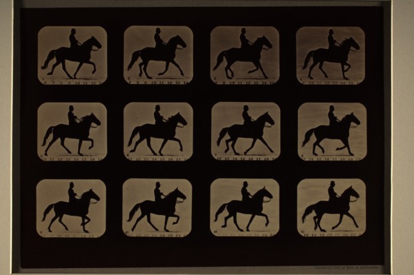 Animal Locomotion (Man W/ Derby On Horse), Printed 1881. Creator: Eadweard J Muybridge.