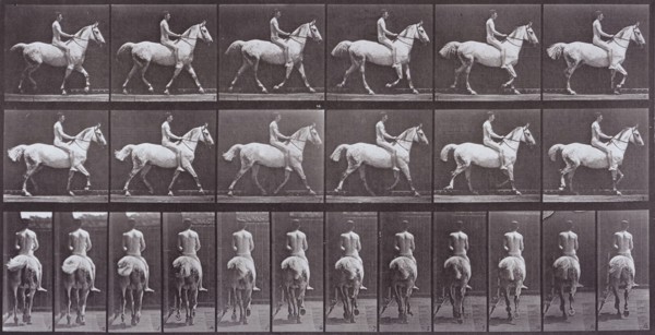 Animal Locomotion, Printed 1887. Creator: Eadweard J Muybridge.