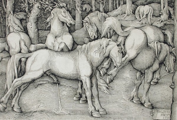 Stallion and Kicking Mare with Wild Horses, 1534. Creator: Hans Baldung.
