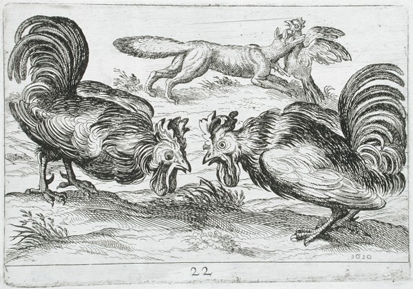 Two Roosters Fighting, 1610. Creator: Hendrick Hondius I.