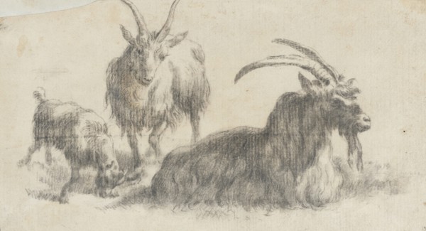 Ram, Ewe and Kid, 17th century. Creator: Marcus de Bye.