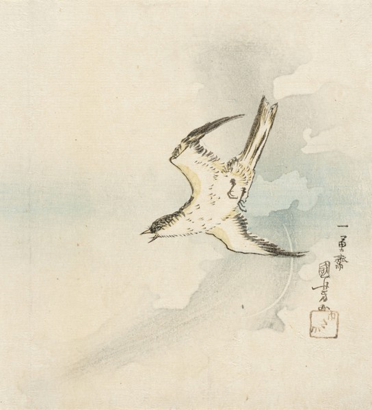 Hototogisu, Mid-19th century. Creator: Utagawa Kuniyoshi.